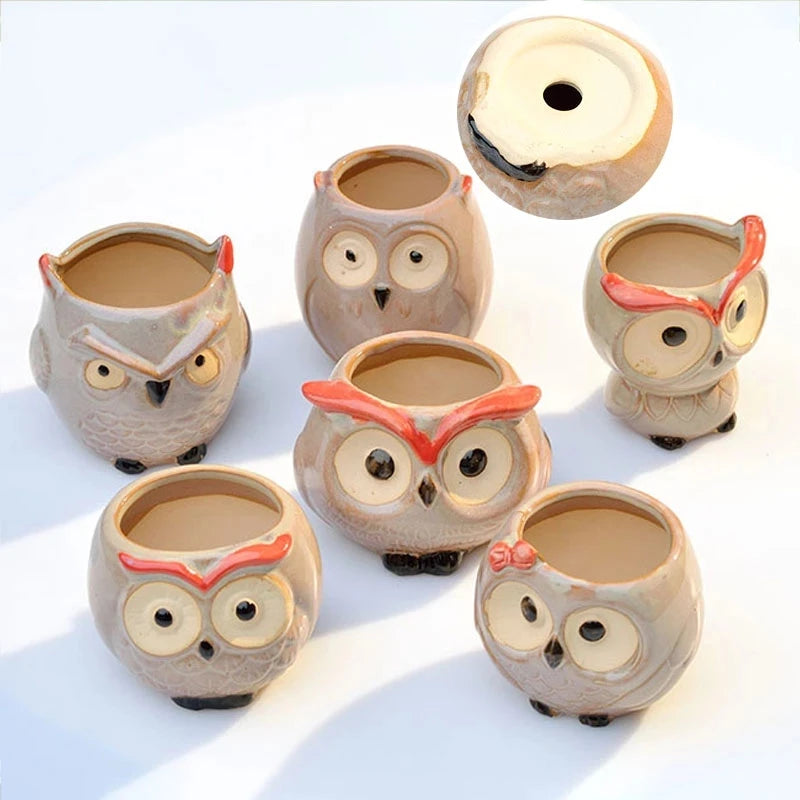 1pc Cute Owl Ceramic Flowerpot