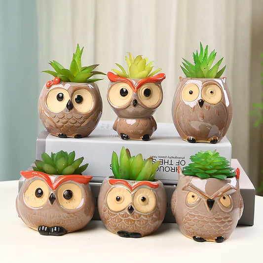 1pc Cute Owl Ceramic Flowerpot