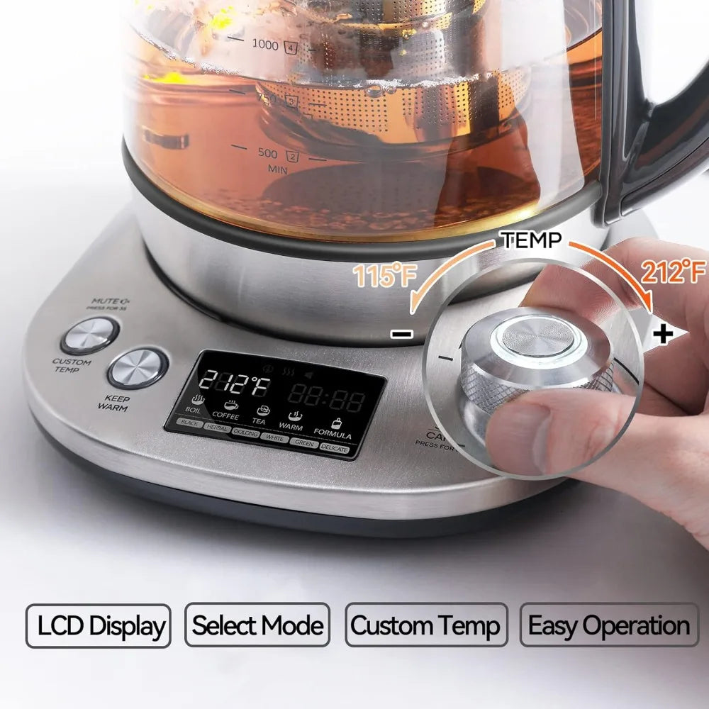 Electric Tea Kettle with Removable Infuser